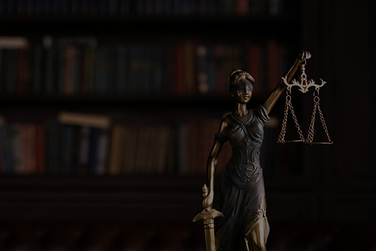 law11