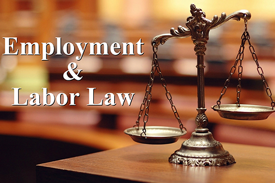 Labor/Employment Litigation 